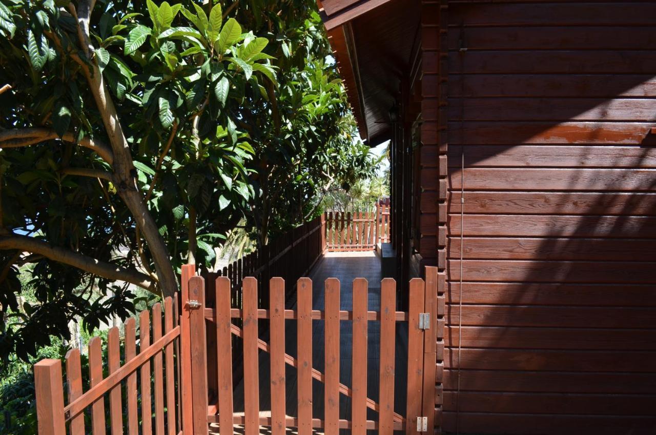 Cabana Los Palmeros, Vista Al Mar Y La Montana Alojera 外观 照片
