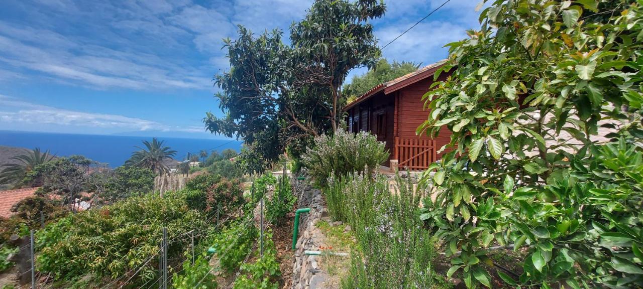 Cabana Los Palmeros, Vista Al Mar Y La Montana Alojera 外观 照片