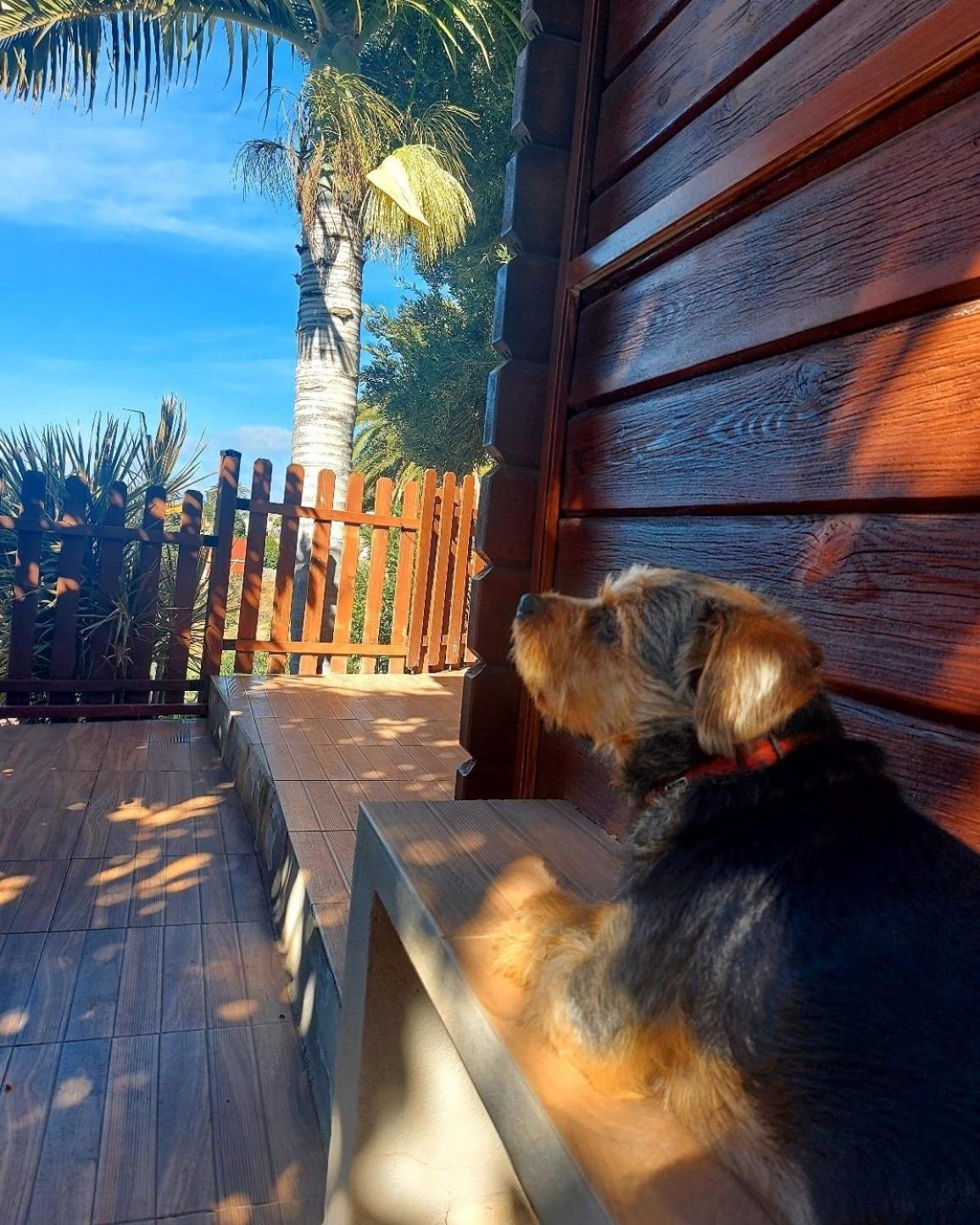 Cabana Los Palmeros, Vista Al Mar Y La Montana Alojera 外观 照片