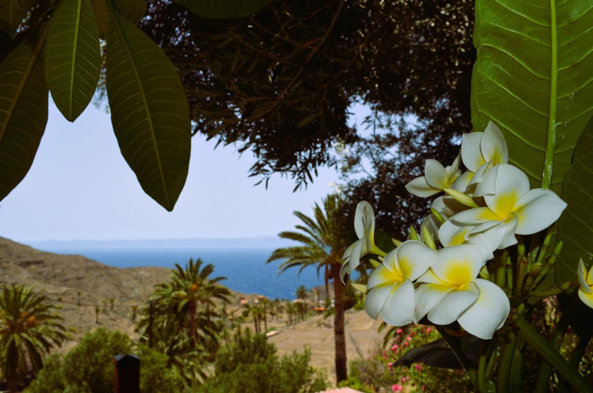 Cabana Los Palmeros, Vista Al Mar Y La Montana Alojera 外观 照片